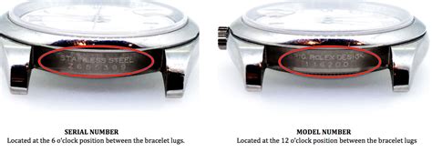 numbers on caseback of rolex|rolex value by serial number.